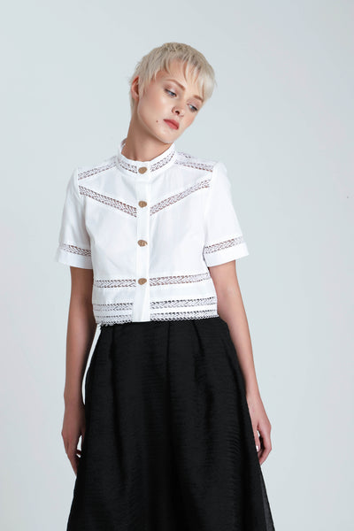 Salvia Cotton Lace Paneled Crop Top